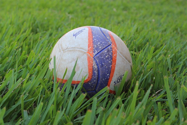 回撤他